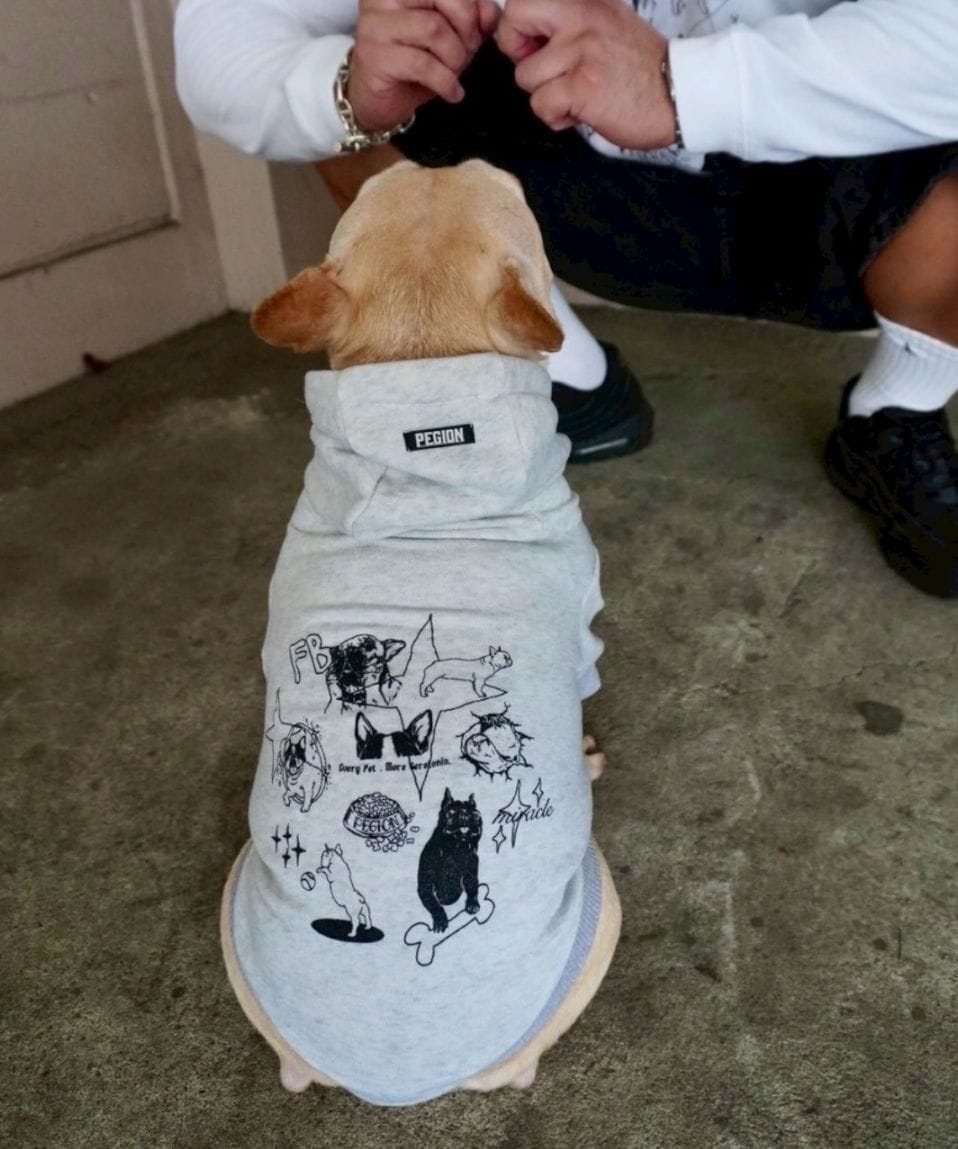 HAPPY FRENCHIE DAYS DOG HOODIE