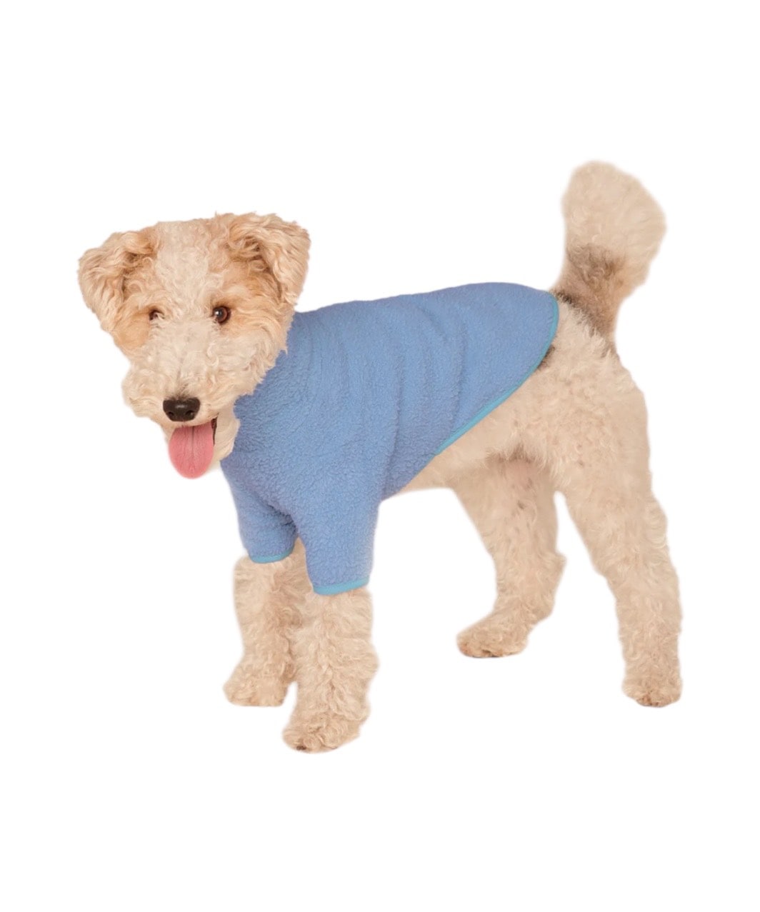 LITTLE BEASTの一覧ページ | おしゃれなドッグウェアの通販ならPEGION