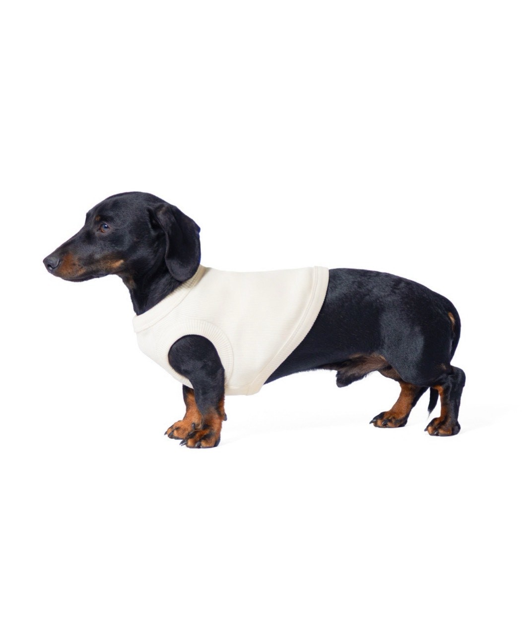 【PIMPAN】TANK TOP - WHITE