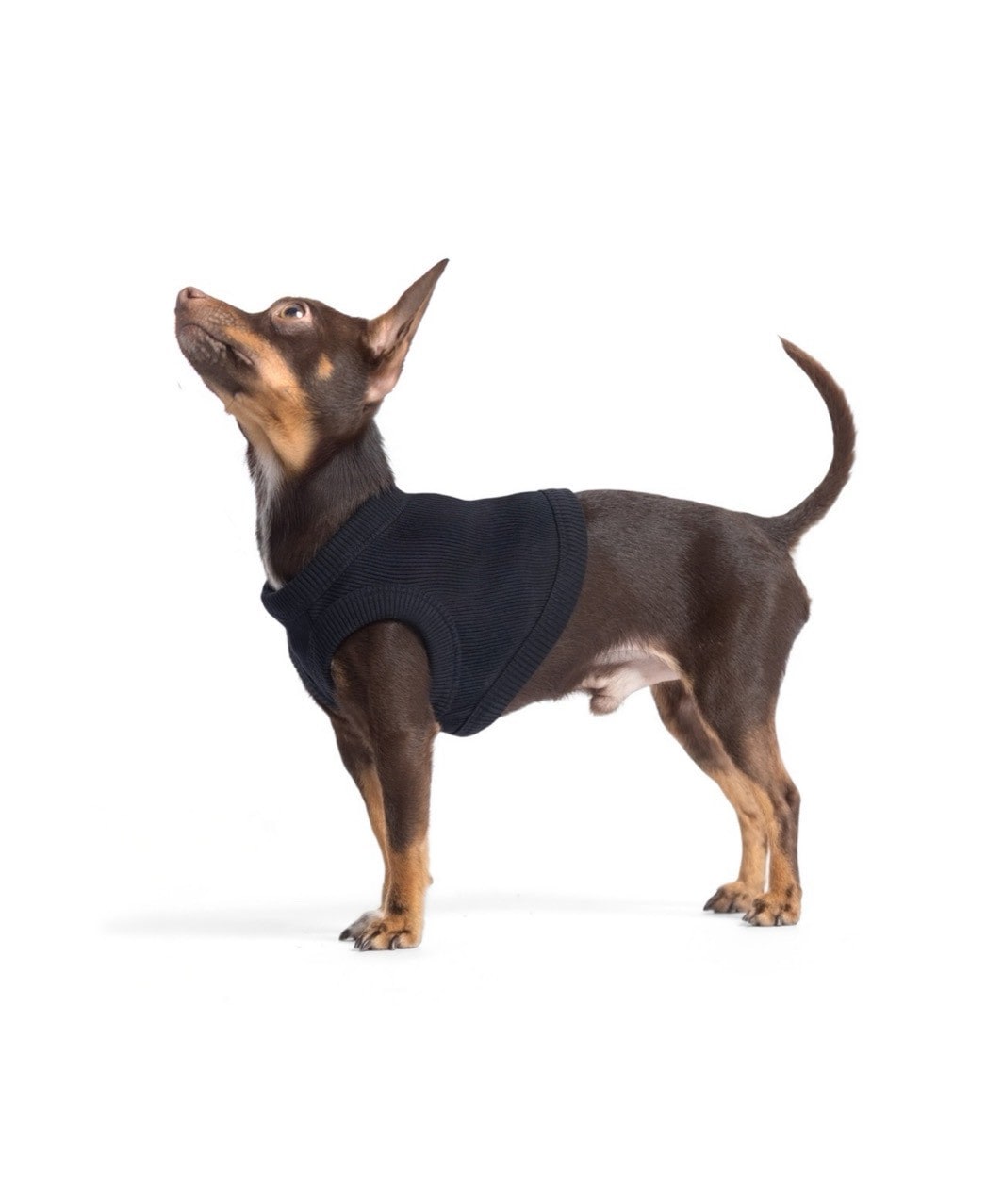 【PIMPAN】TANK TOP - BLACK