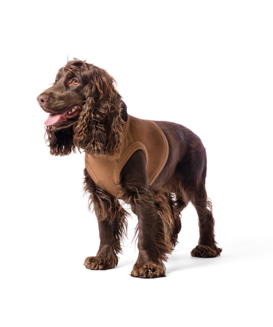 【PIMPAN】TANK TOP - BROWN