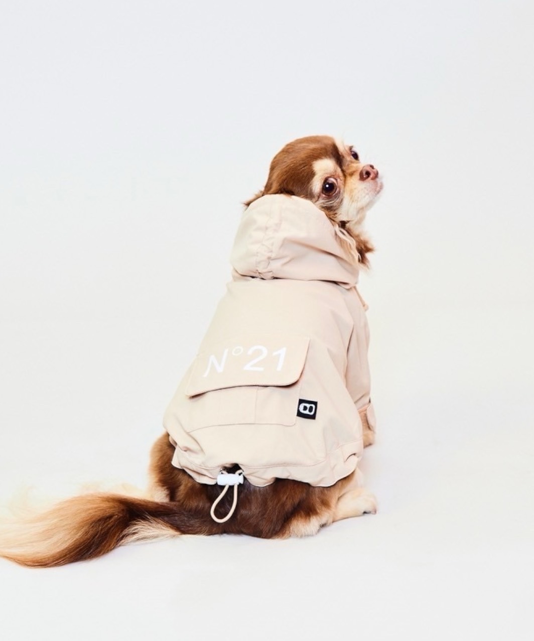 【N21】 WIND BREAKER - BEIGE