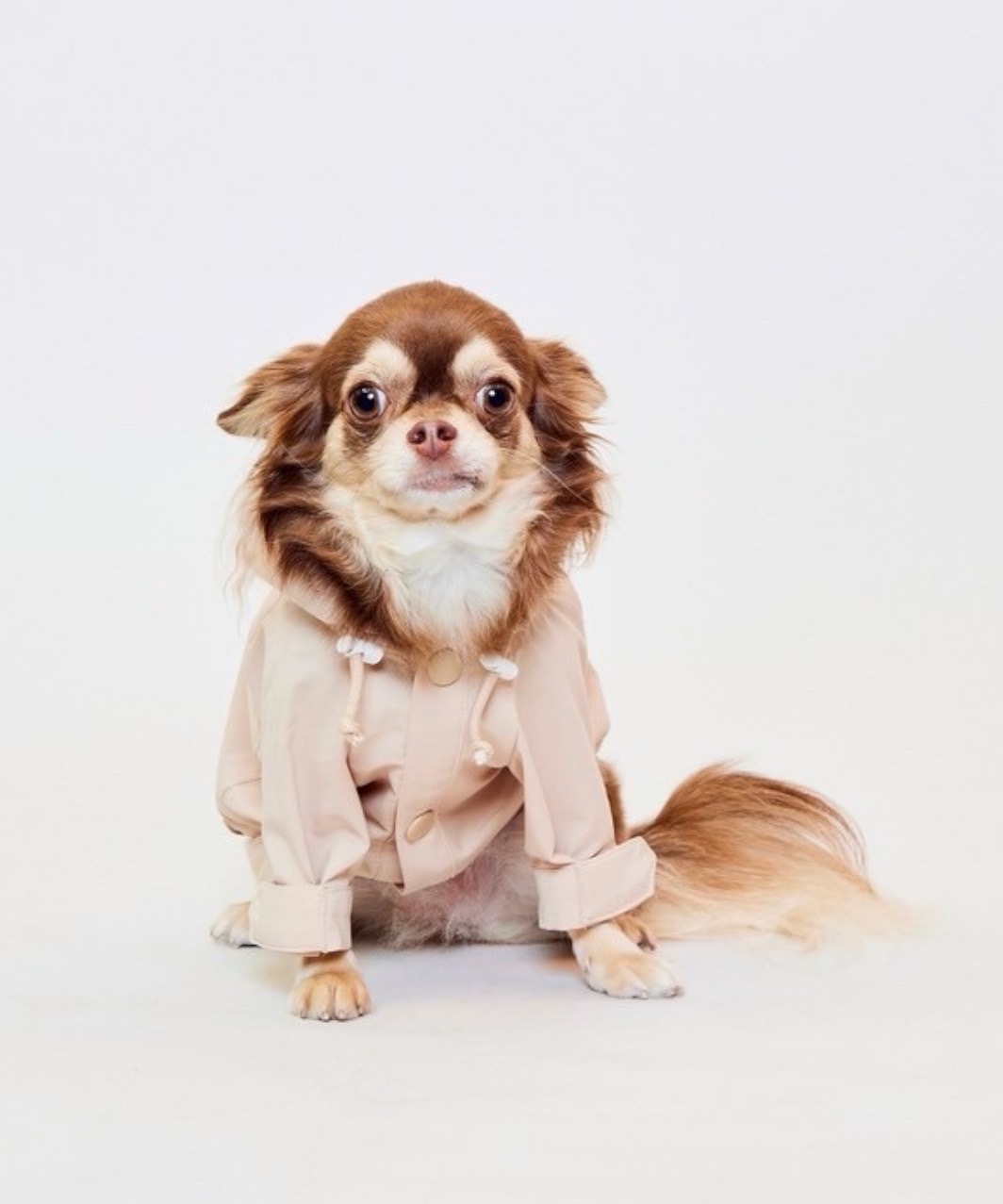 【N21】 WIND BREAKER - BEIGE