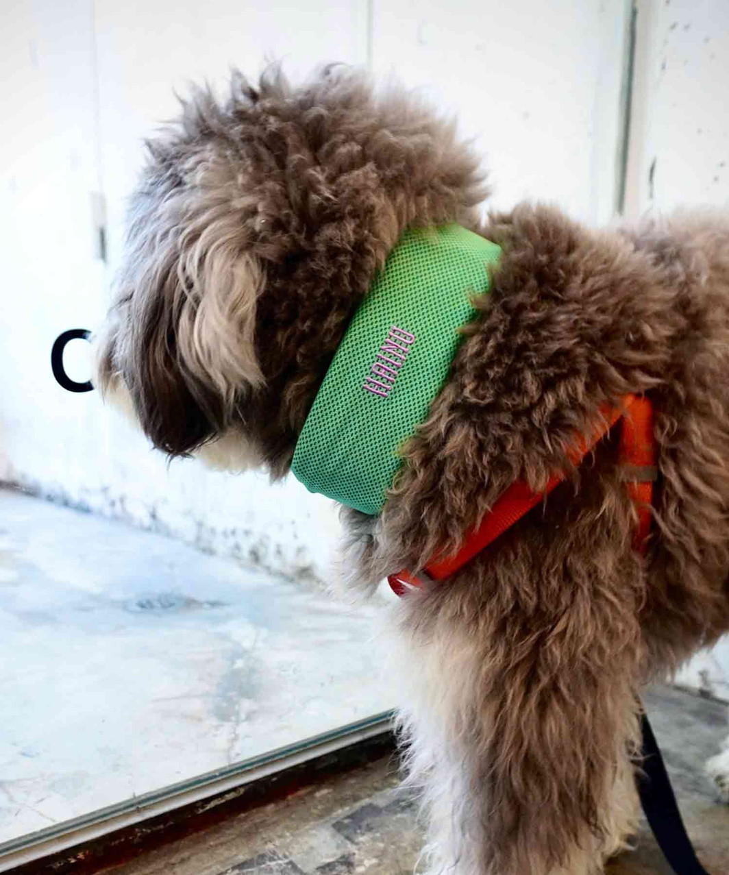 COOL NECK BAND - MINT GREEN