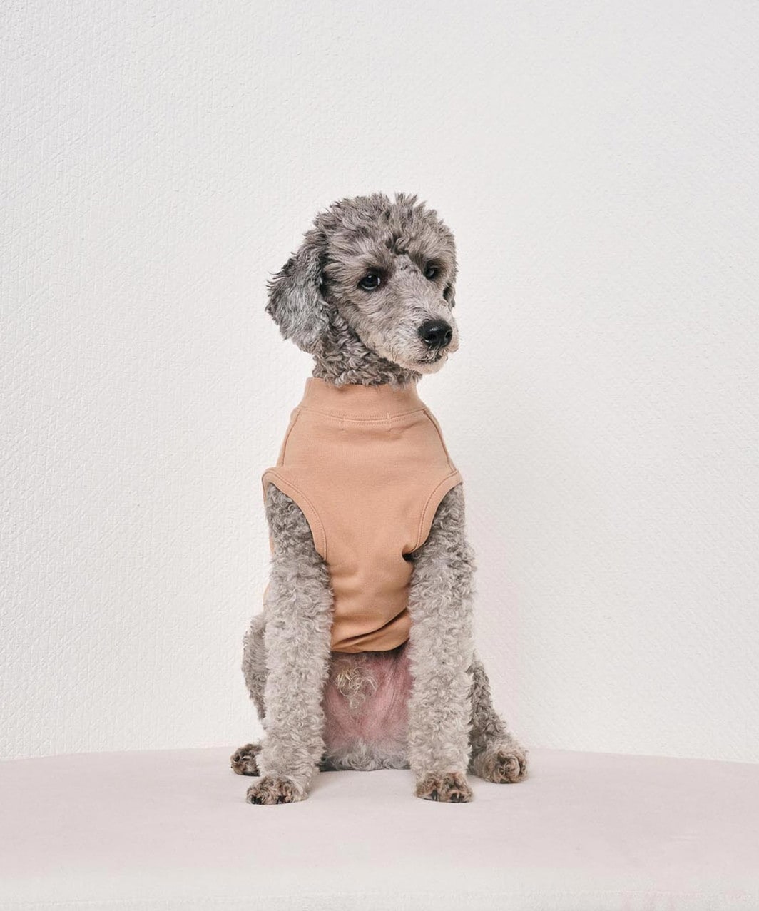 【N21】 LOGO TANK - BEIGE