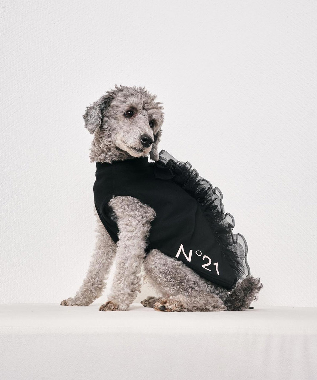 【N21】 FRILL TANK - BLACK