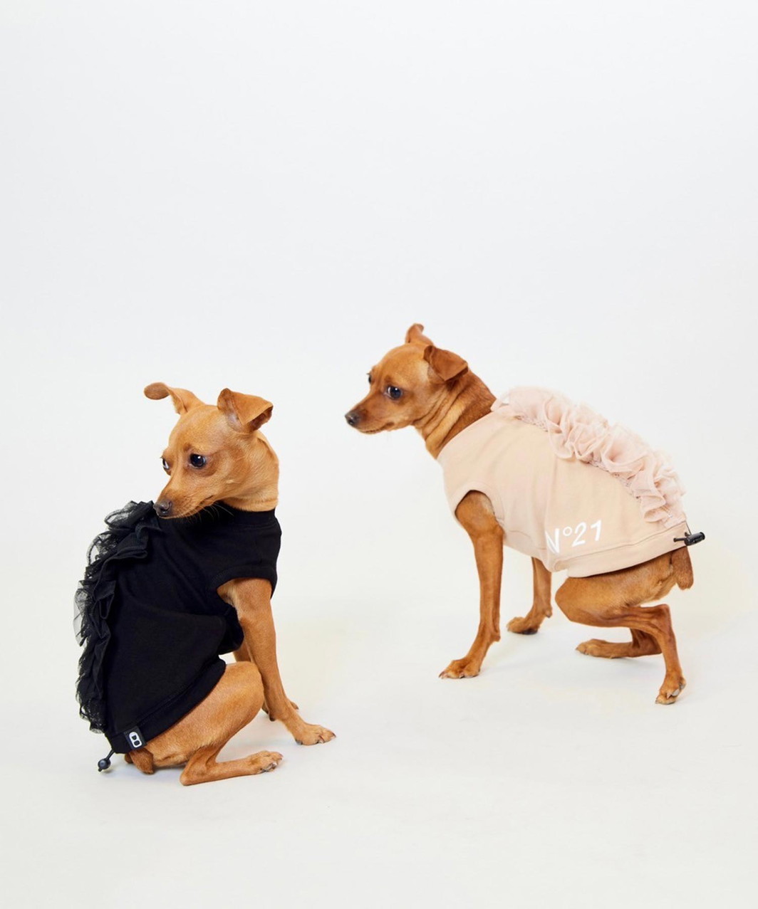 【N21】 FRILL TANK - BLACK