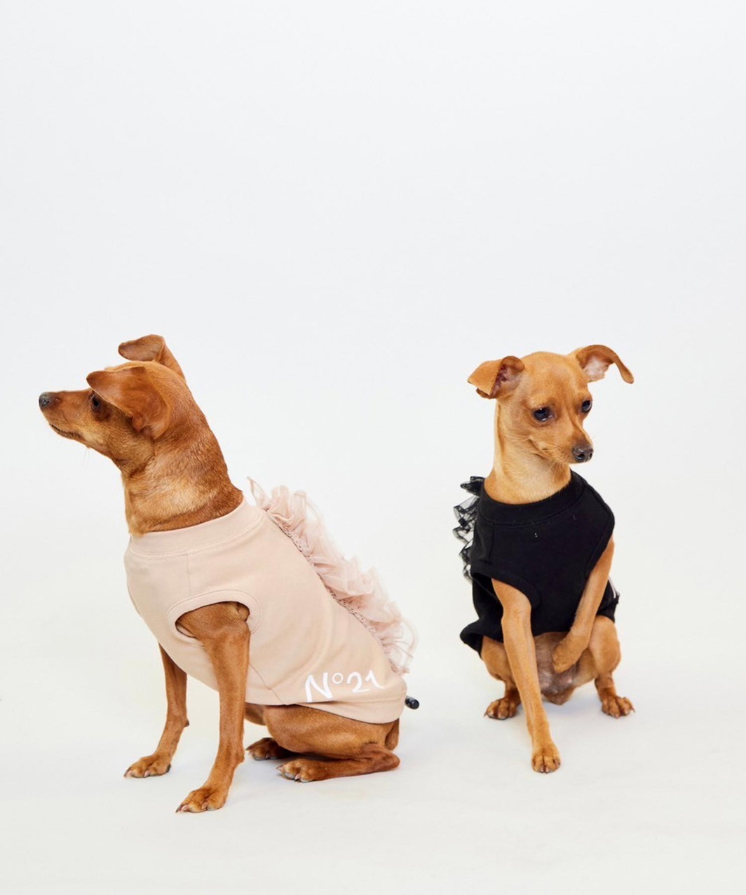 【N21】 FRILL TANK - BLACK