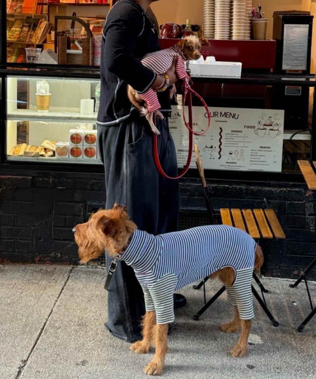 EARTH AND SKY ONESIE - MIXED BLUE/BROWN