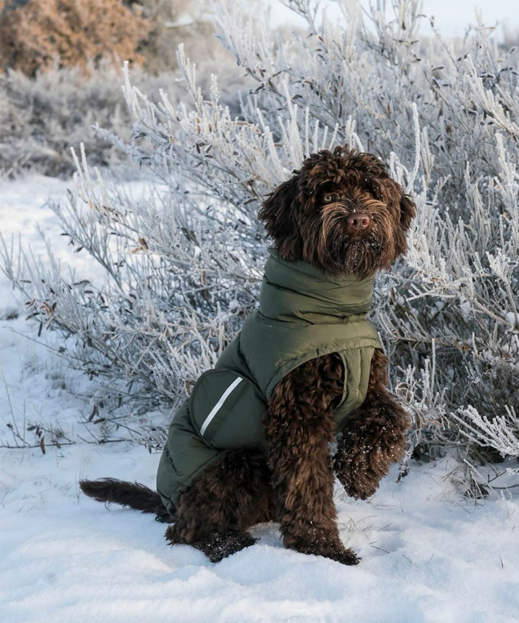 HUNDEMANTEL ALASKA OLIVE - KHAKI | ALL ITEMS -おしゃれなドッグ
