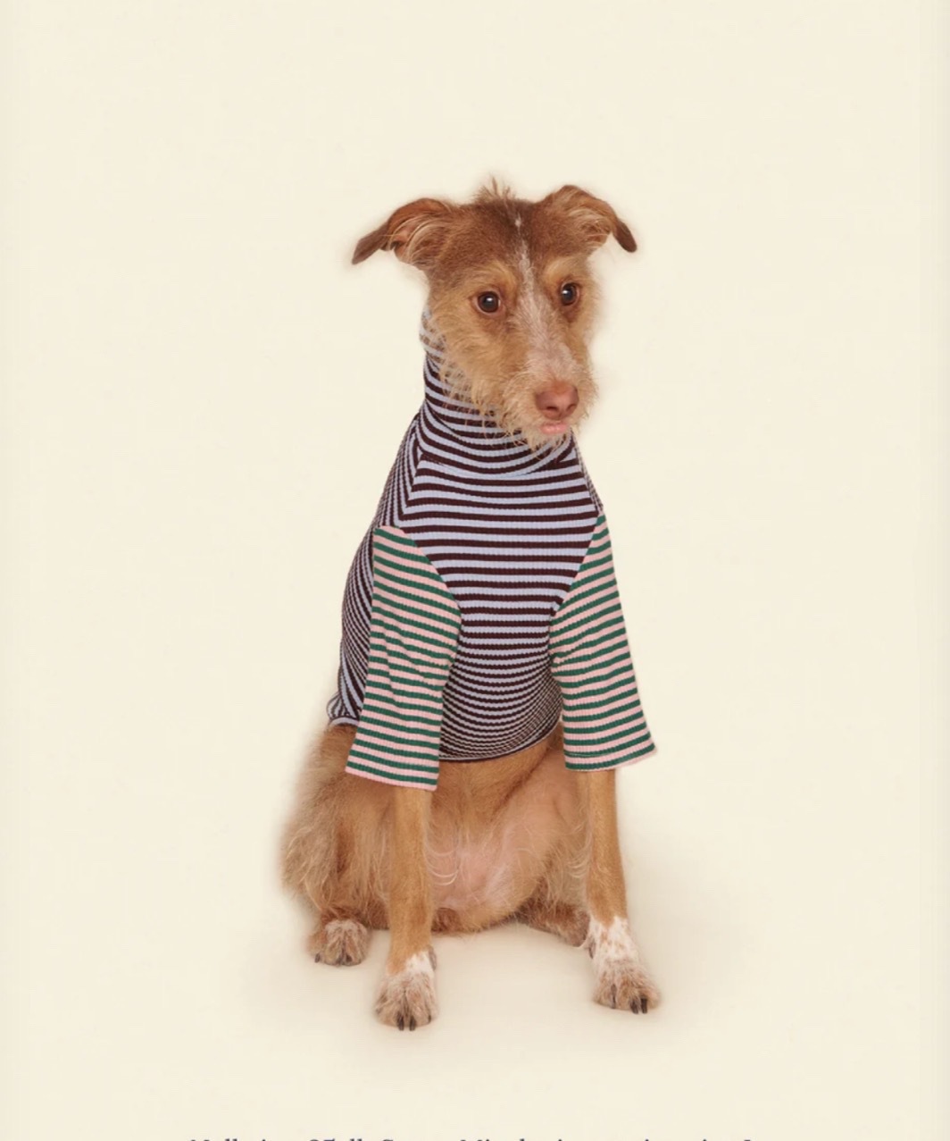 EARTH AND SKY SHIRT - MIXED BLUE/BROWN