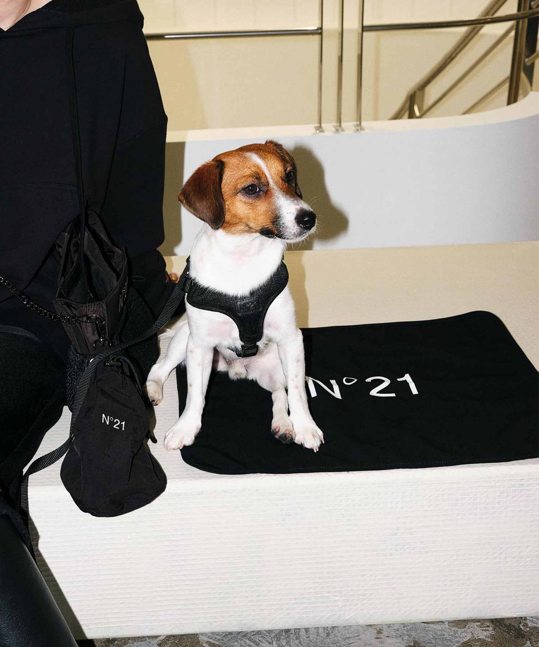 【N21】 HARNESS+LEASH - BLACK