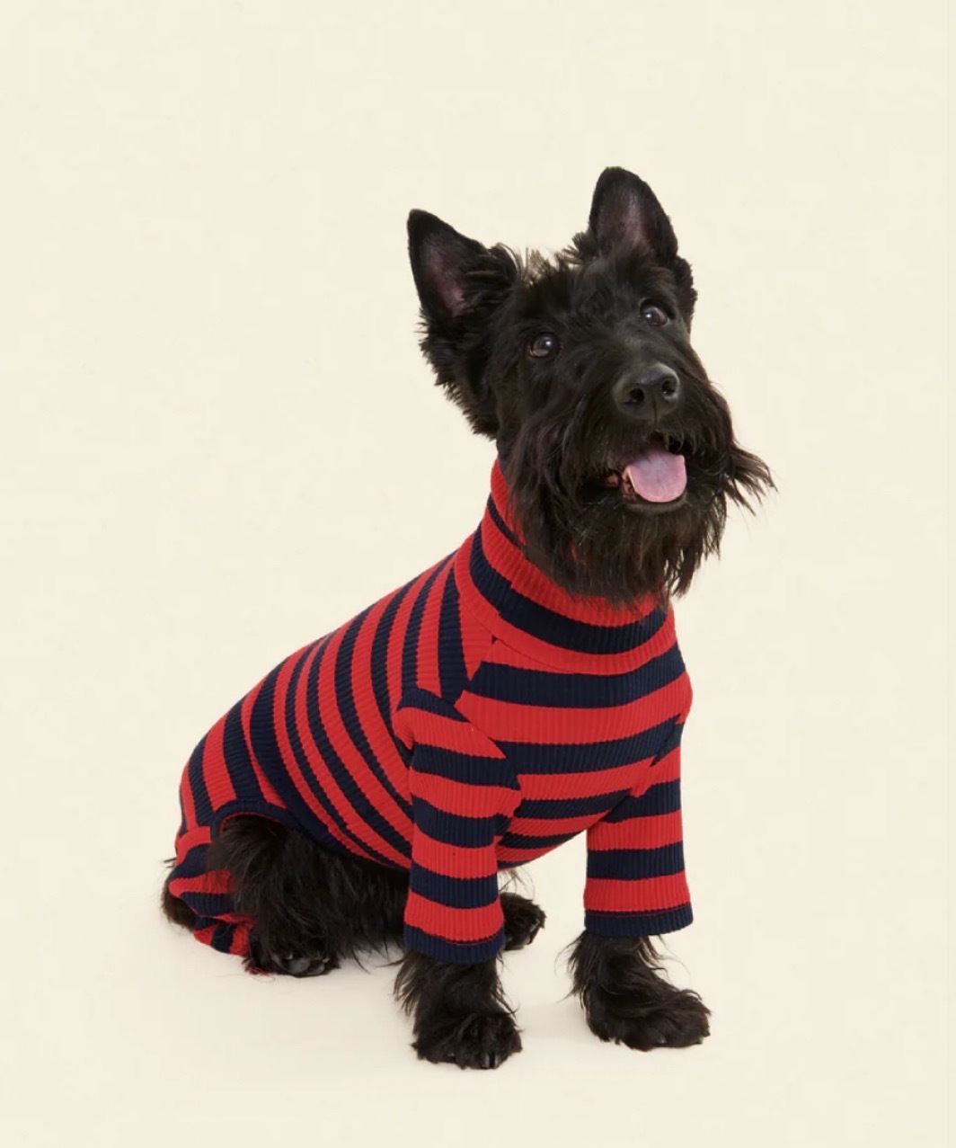 IVY LEAGUE ONESIE - RED/BLACK