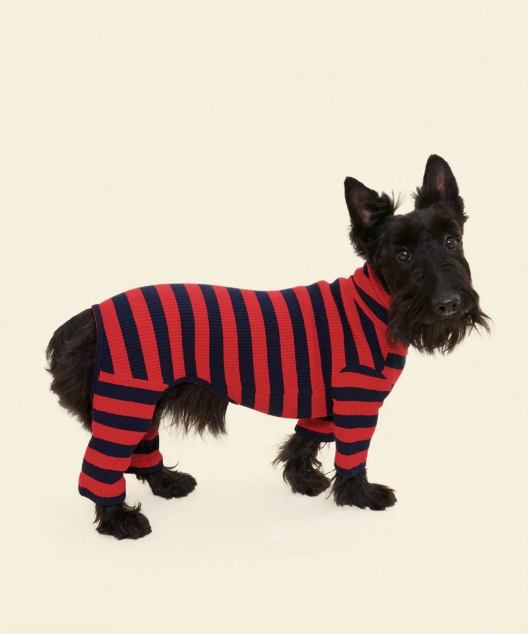 IVY LEAGUE ONESIE - RED/BLACK