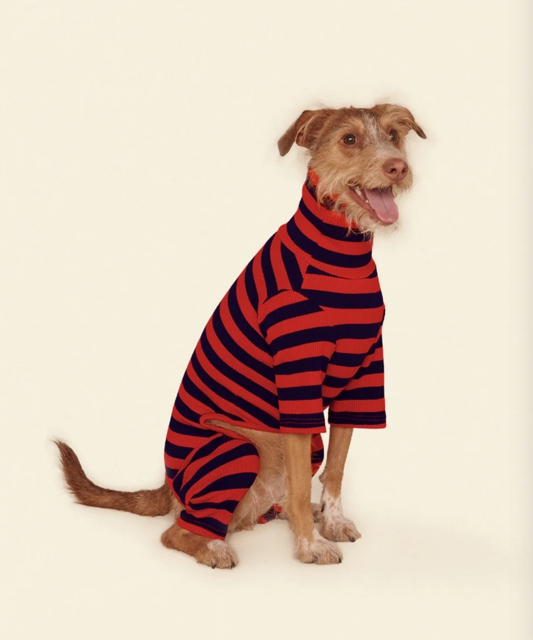 IVY LEAGUE ONESIE - RED/BLACK