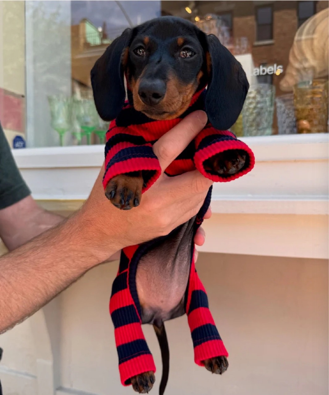 IVY LEAGUE ONESIE - RED/BLACK