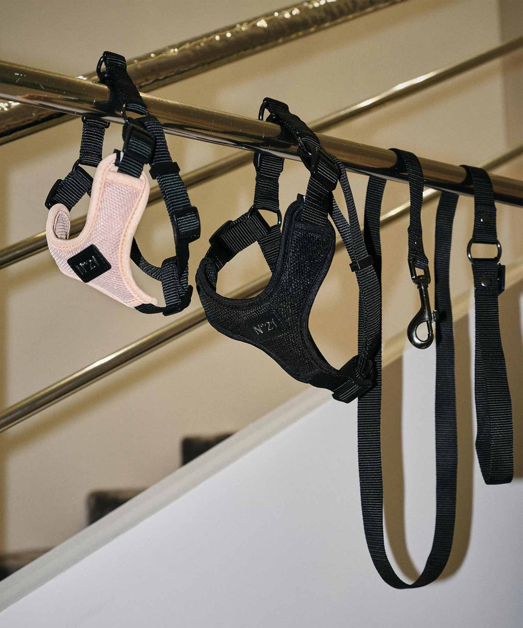 【N21】 HARNESS+LEASH - BEIGE