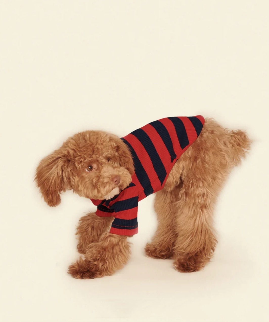 IVY LEAGUE SHIRT - RED/BLACK