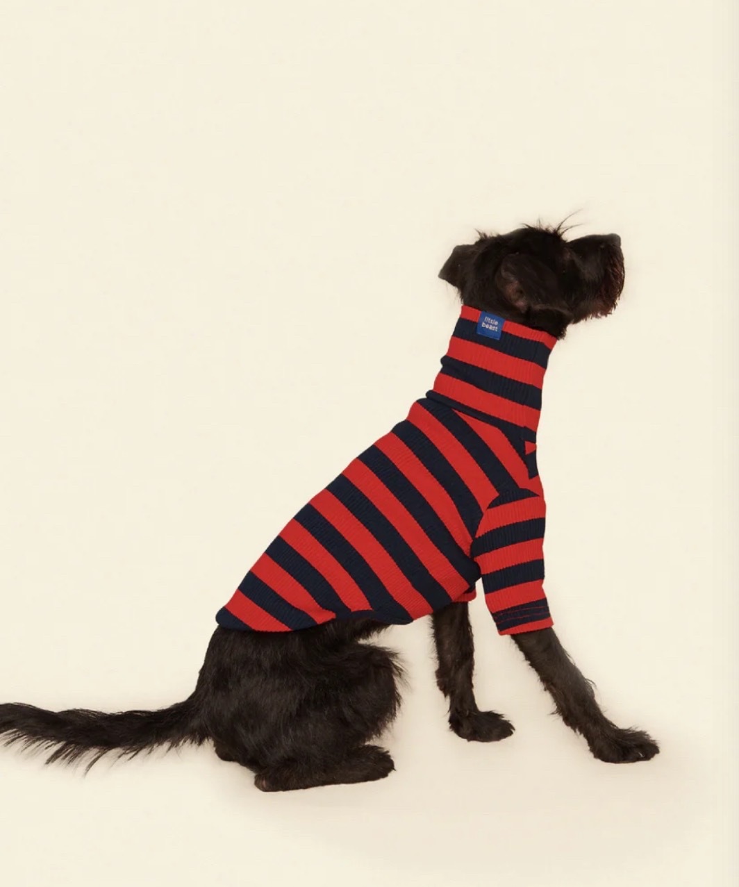 IVY LEAGUE SHIRT - RED/BLACK