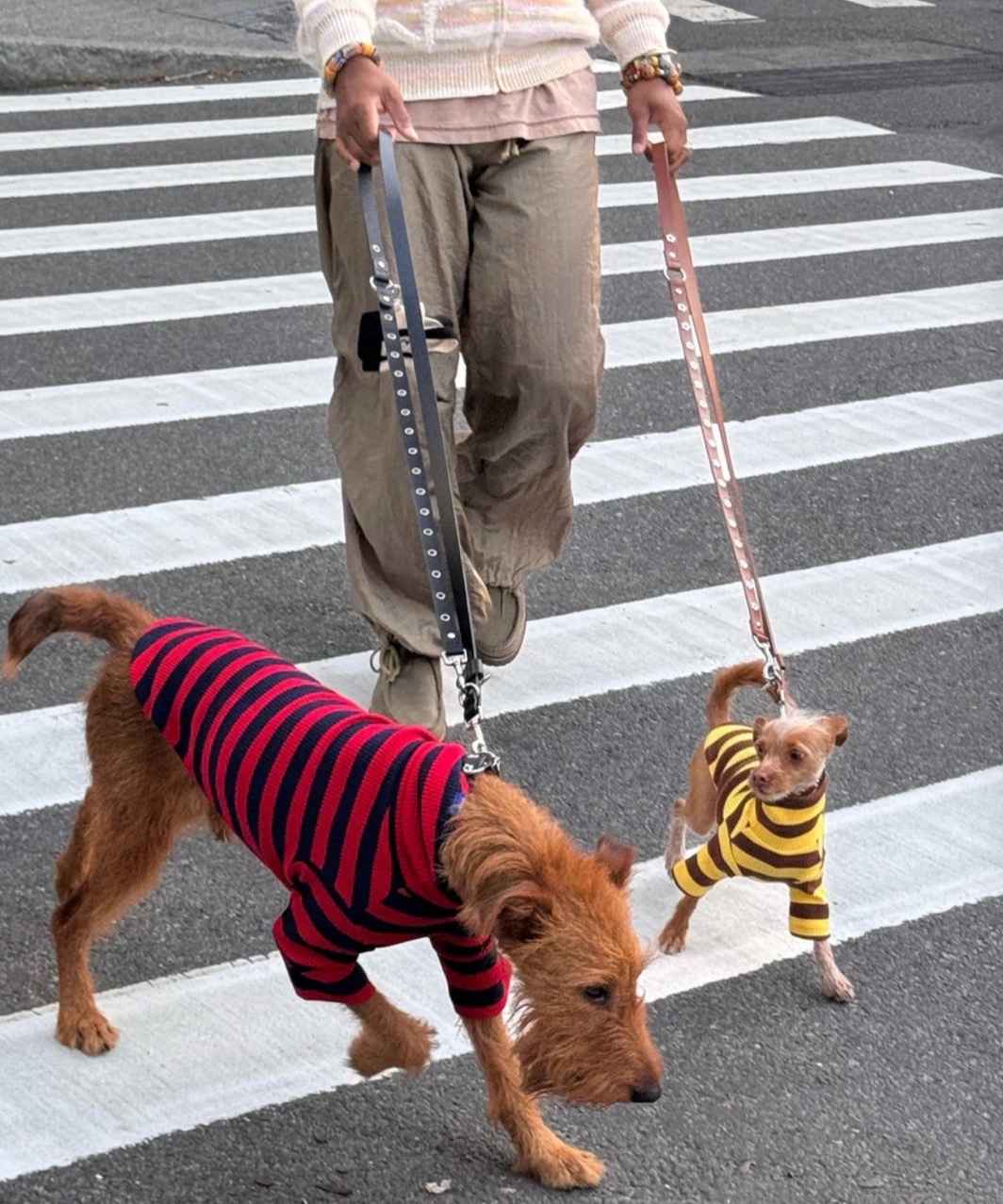 IVY LEAGUE SHIRT - RED/BLACK