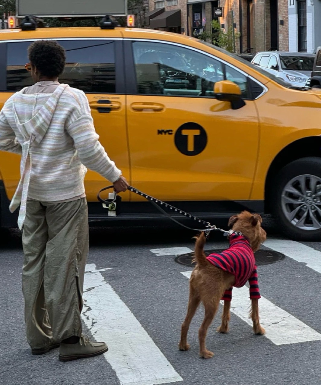 IVY LEAGUE SHIRT - RED/BLACK