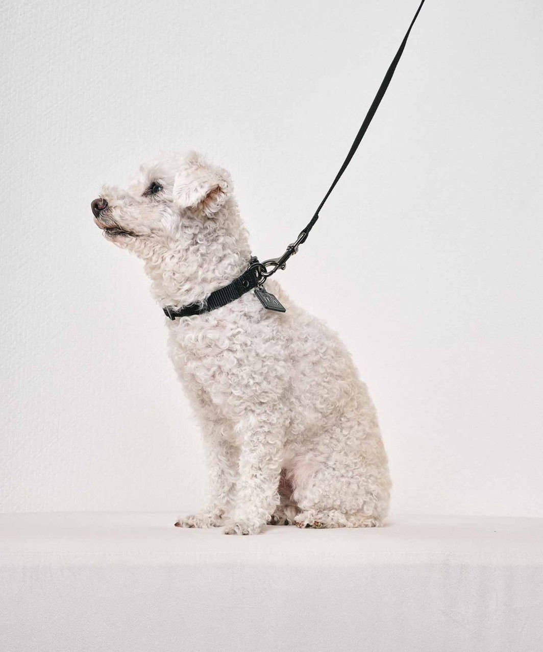 【N21】 COLLAR+LEASH - BLACK