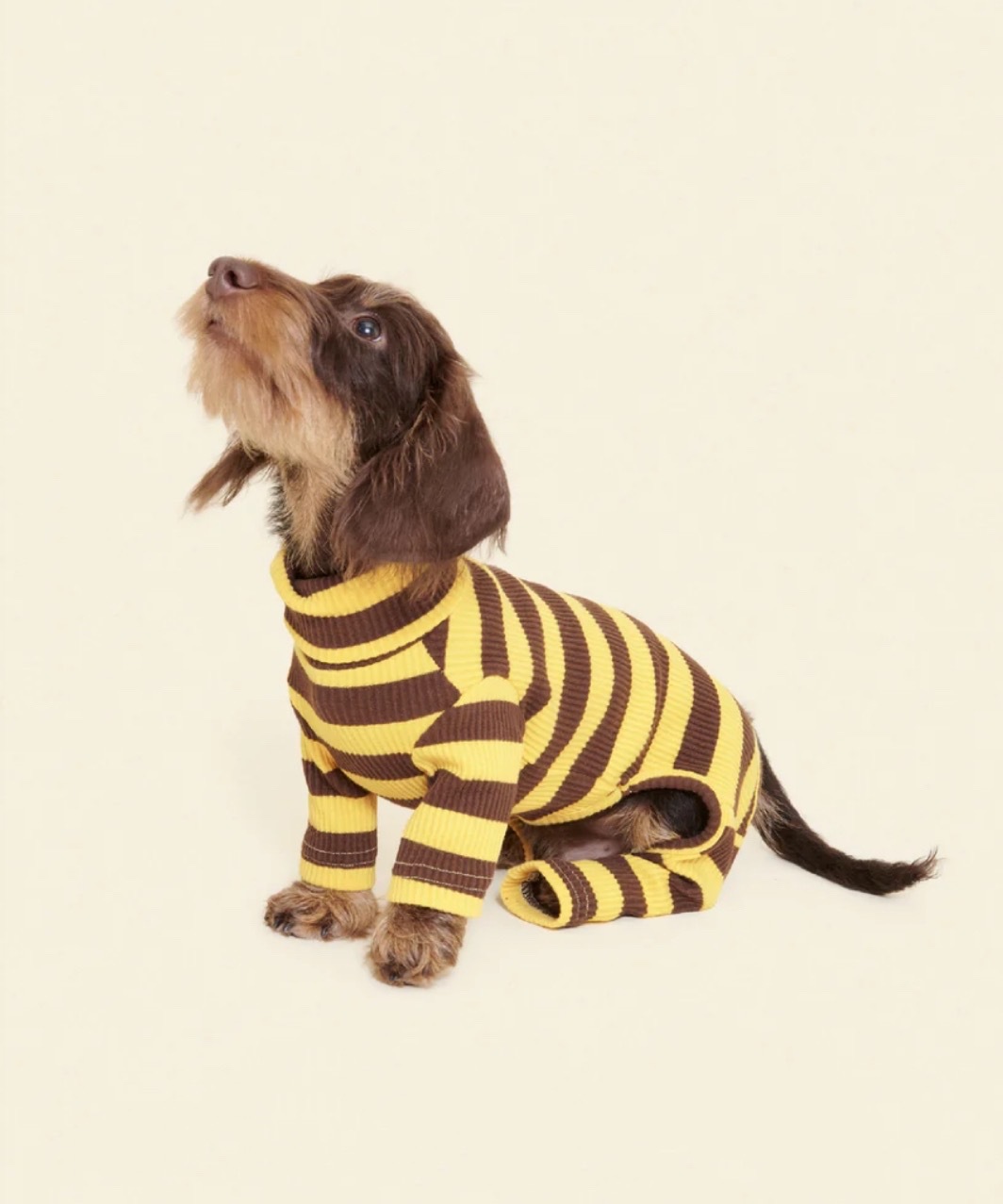 DIJON ONESIE - YELLOW/BROWN