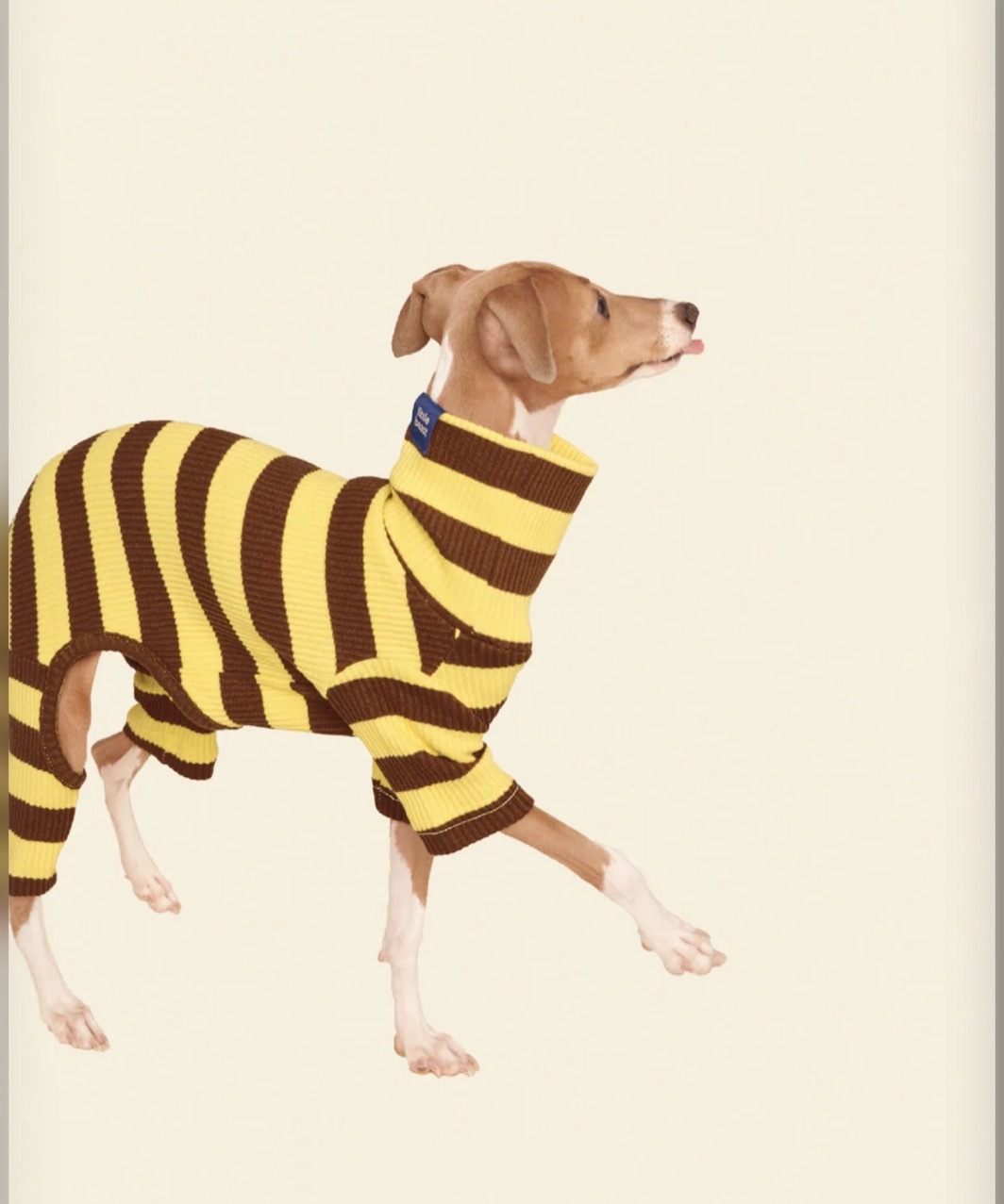 DIJON ONESIE - YELLOW/BROWN