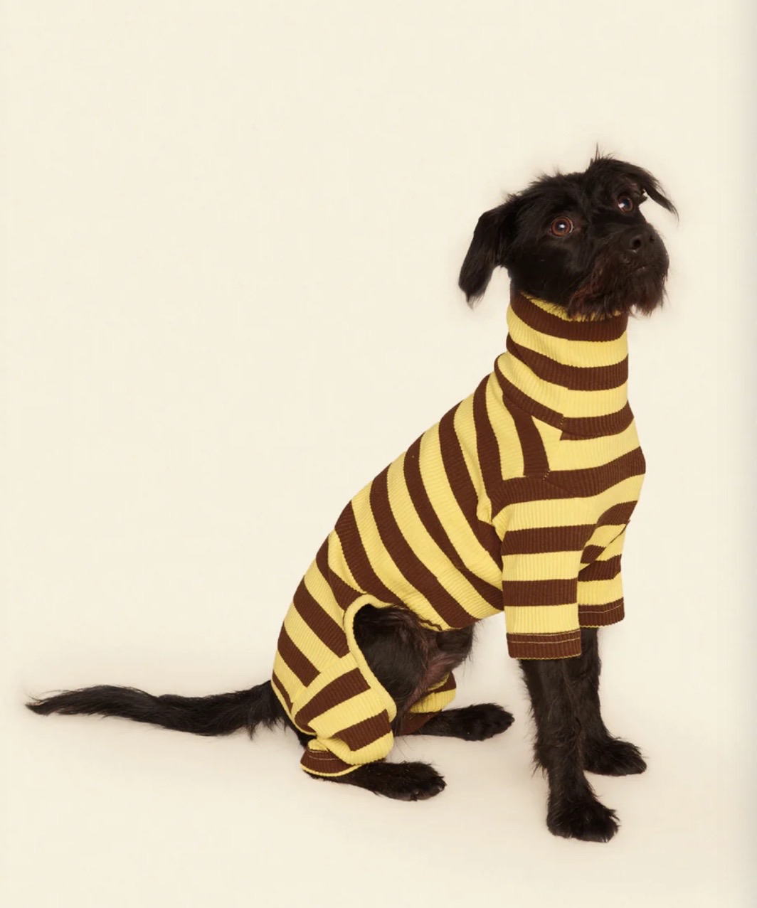 DIJON ONESIE - YELLOW/BROWN