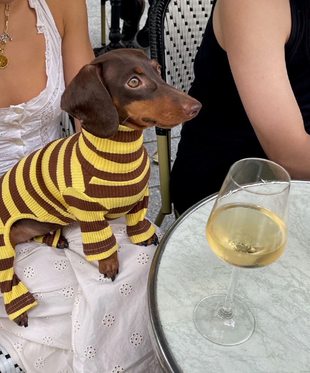 DIJON ONESIE - YELLOW/BROWN