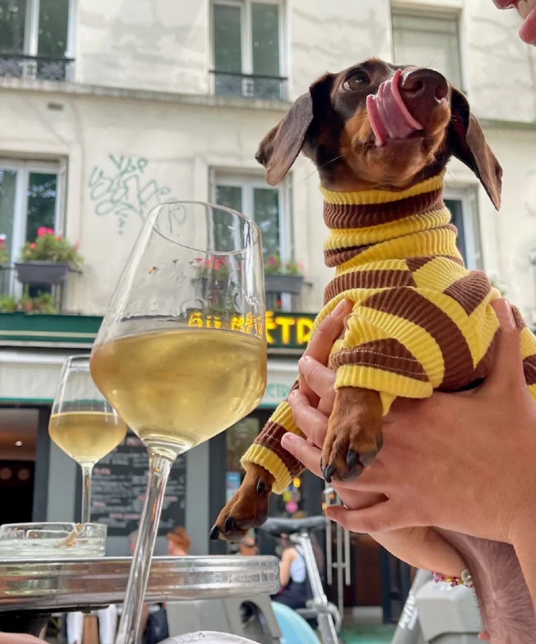 DIJON ONESIE - YELLOW/BROWN