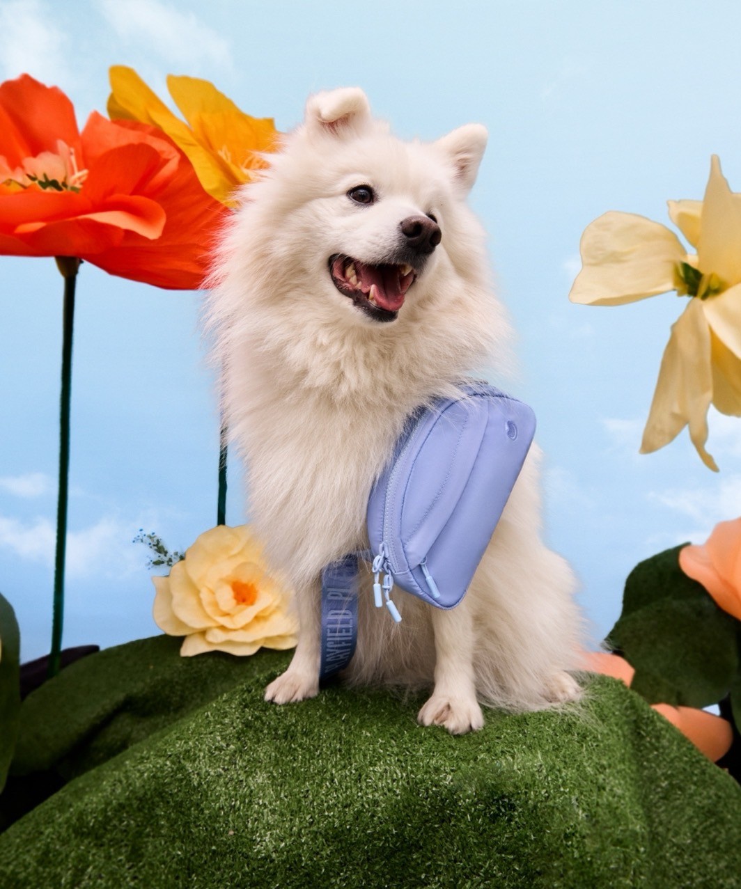 BAILEY SLING BAG MINERAL - BEIGE