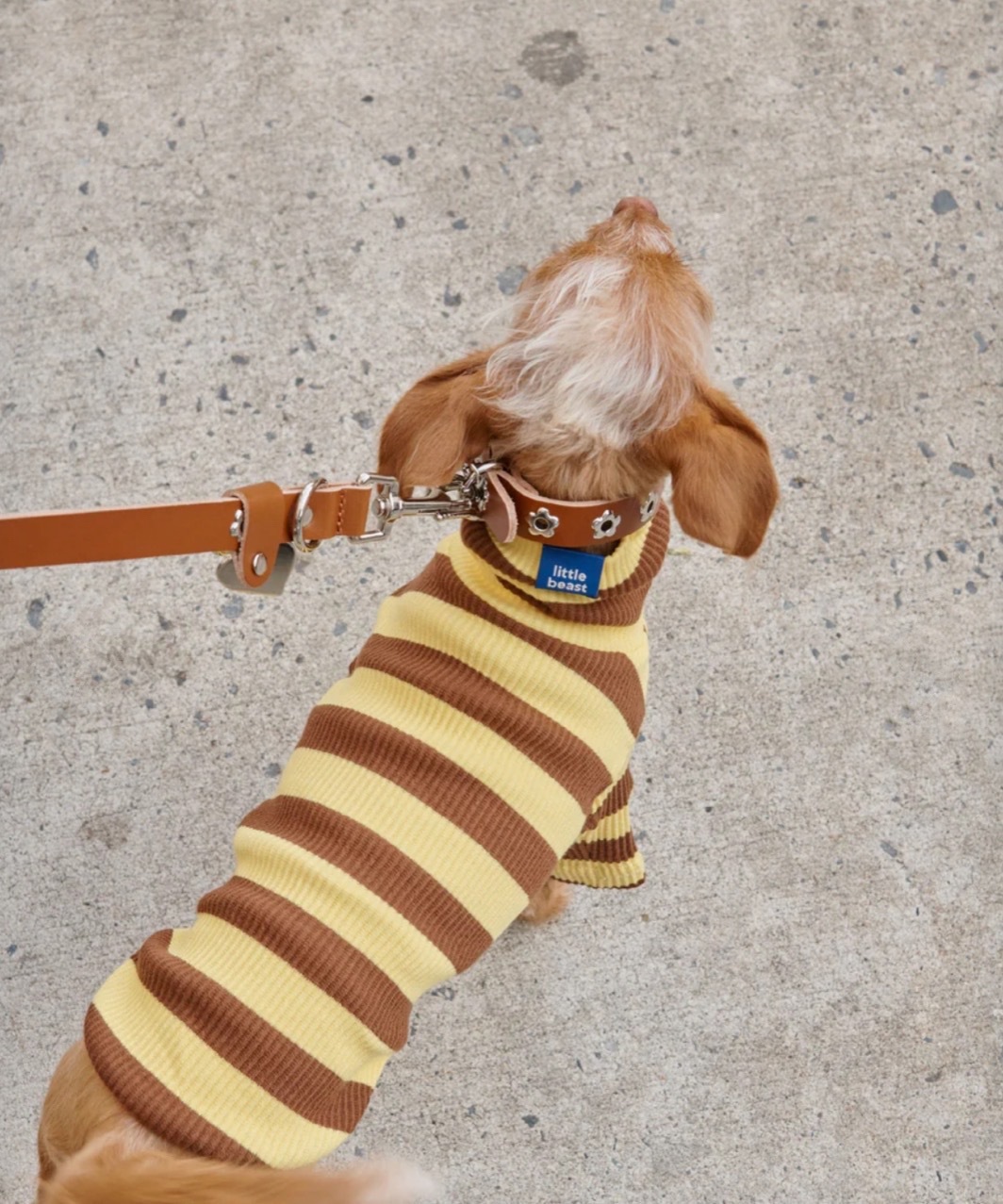 DIJON SHIRT - YELLOW/BROWN