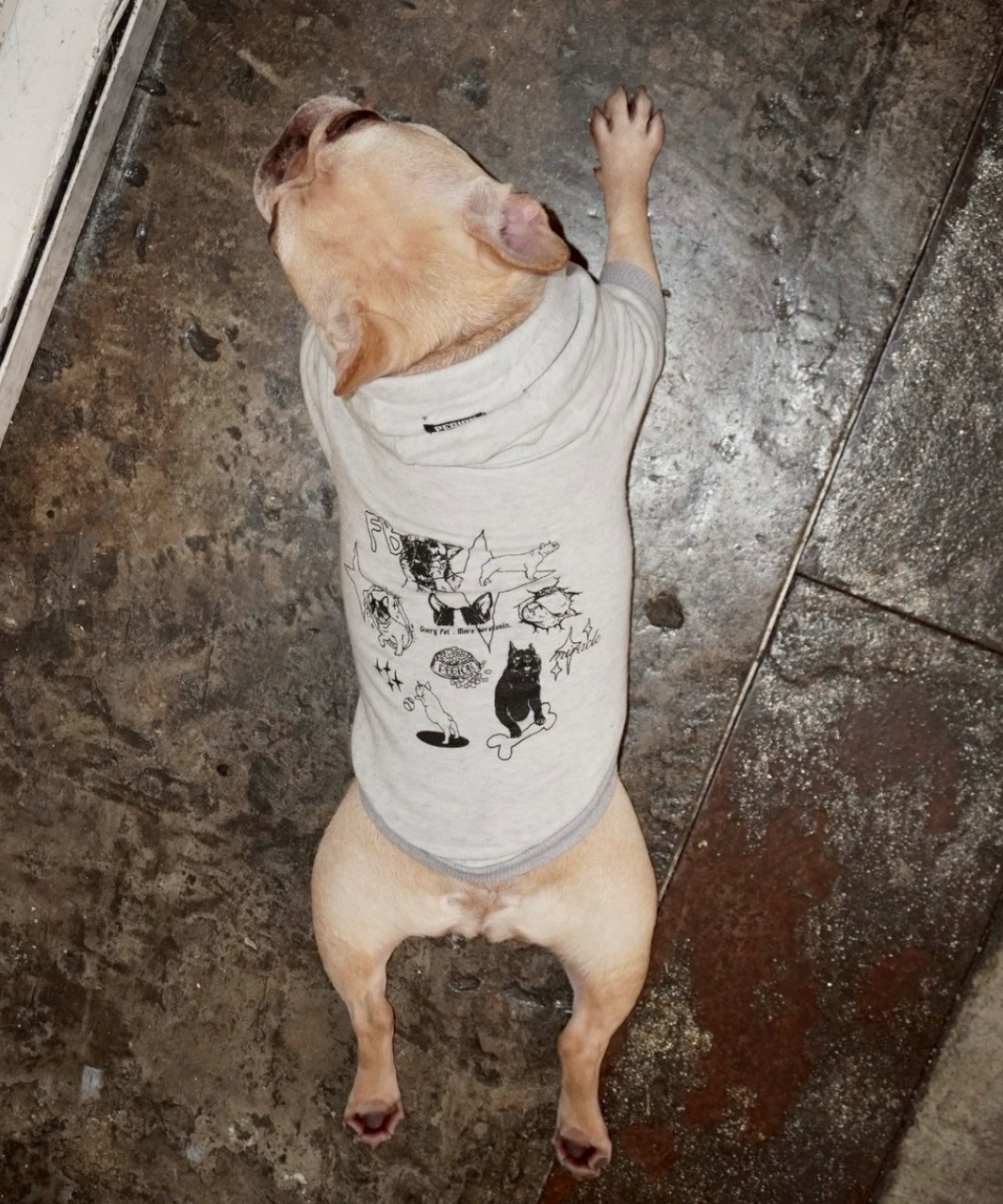 HAPPY FRENCHIE DAYS DOG HOODIE