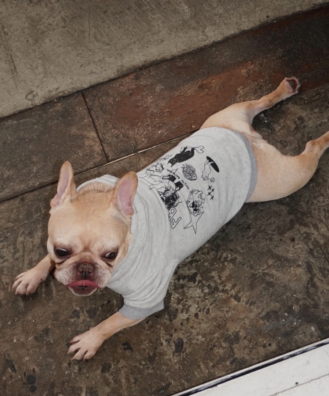 HAPPY FRENCHIE DAYS DOG HOODIE