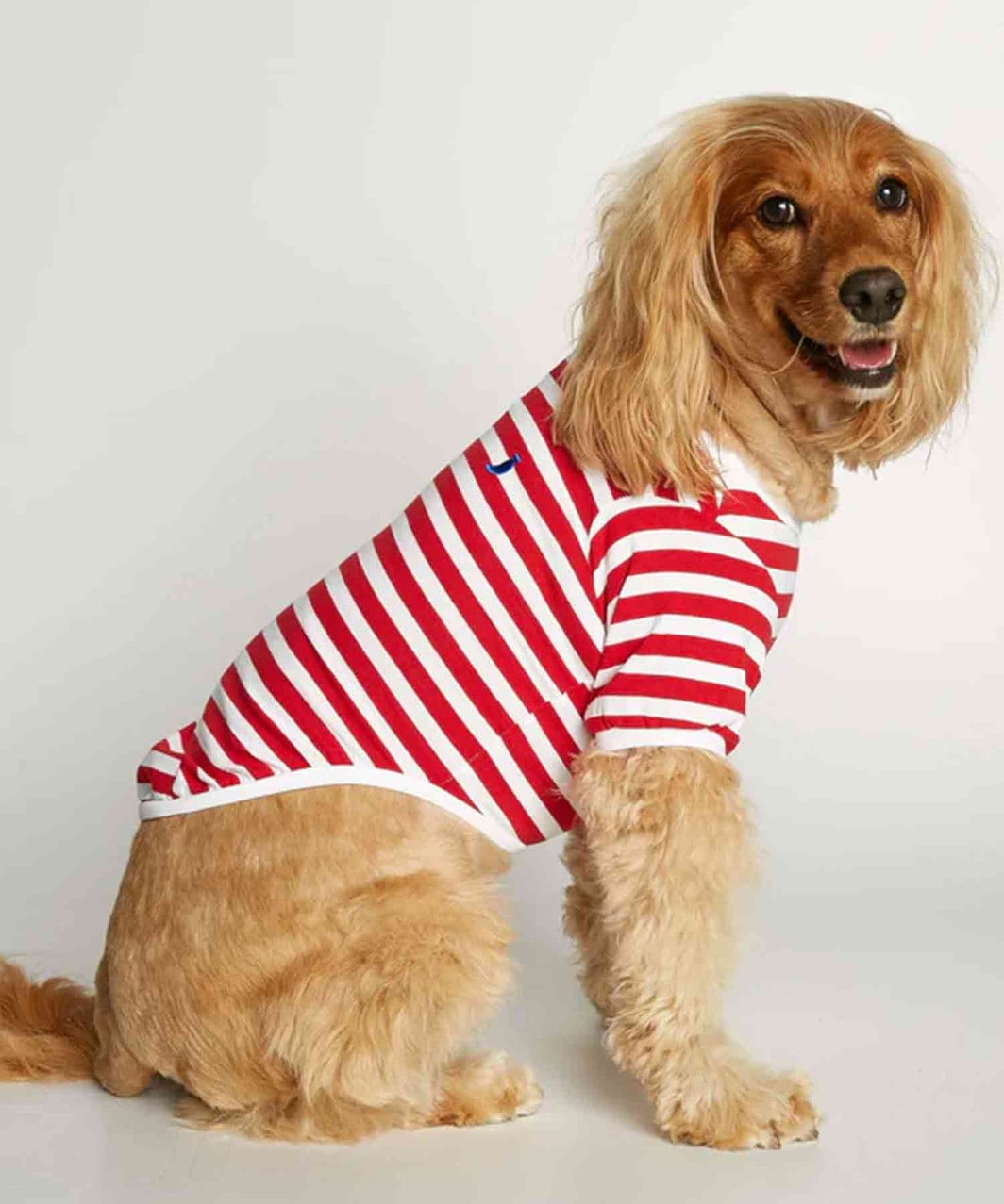 DAVID ORGANIC COTTON DOG T-SHIRT - BLUE