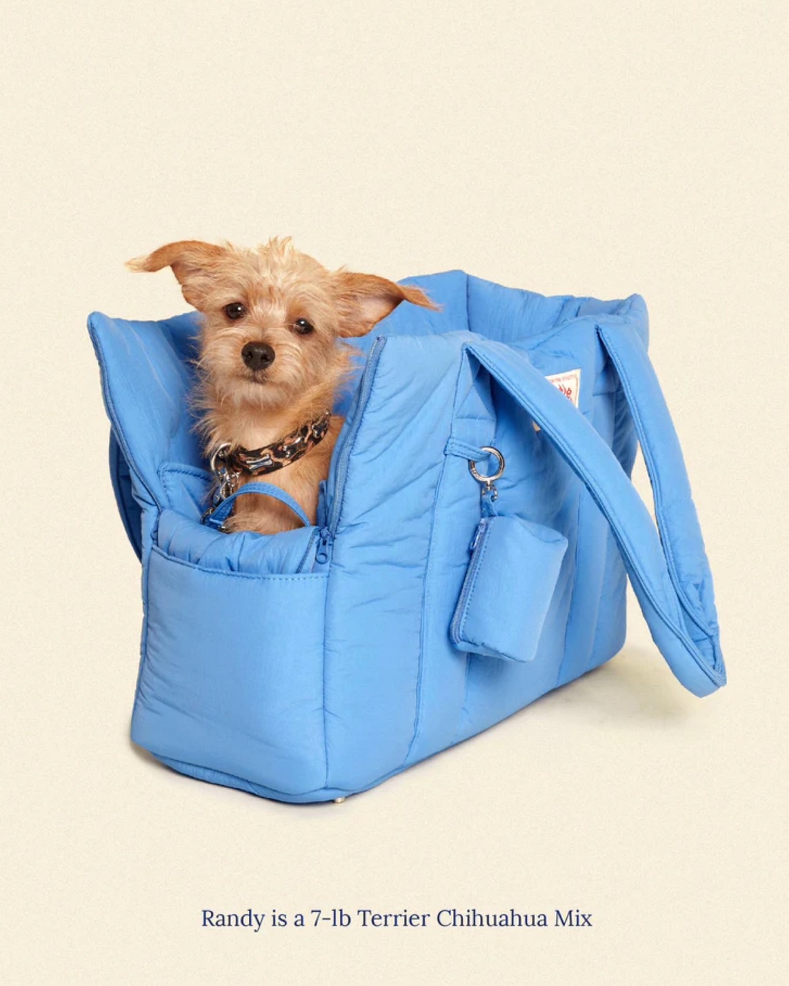 THE LITTLE BEAST CARRIER-BABY - BLUE