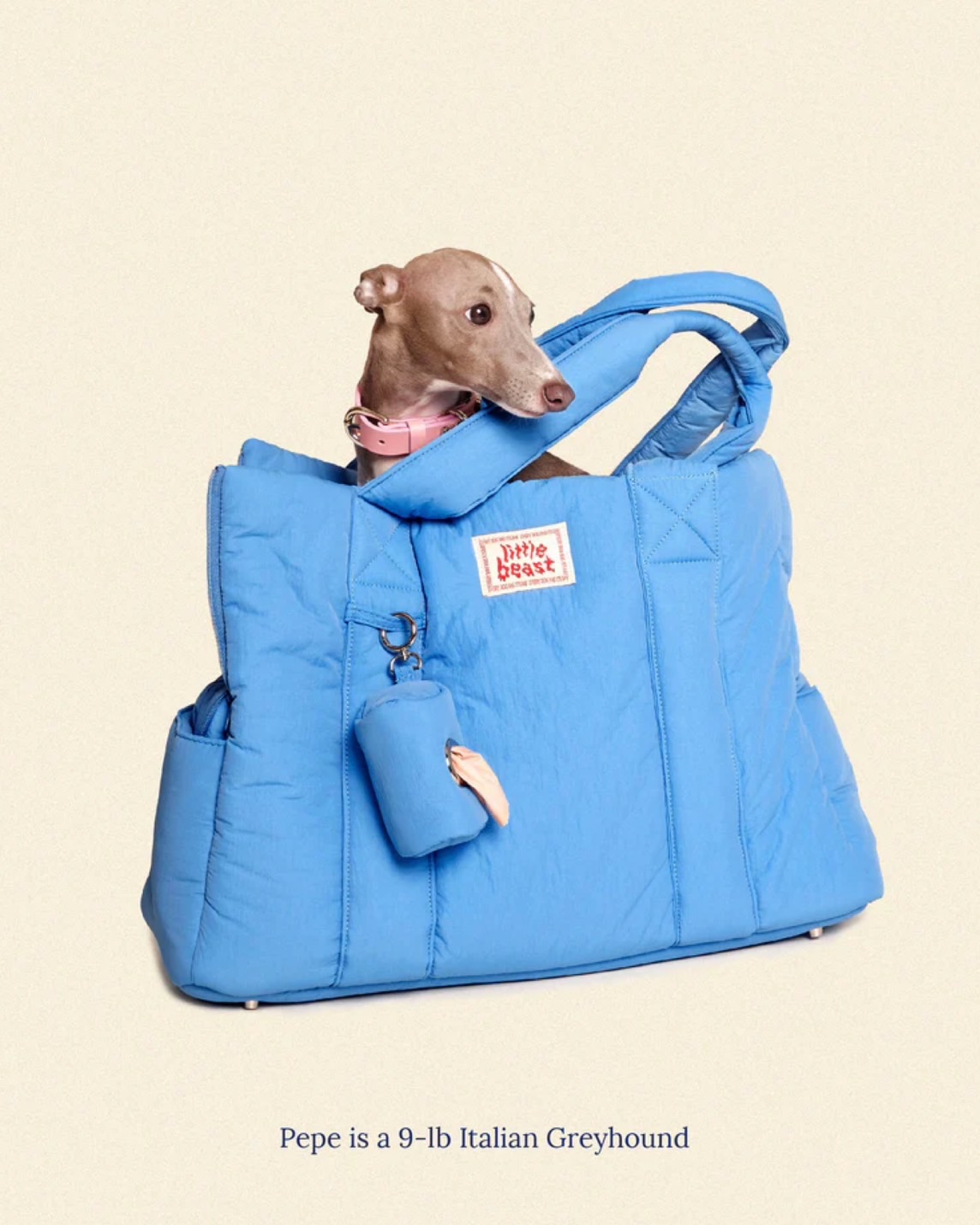 THE LITTLE BEAST CARRIER-BABY - BLUE