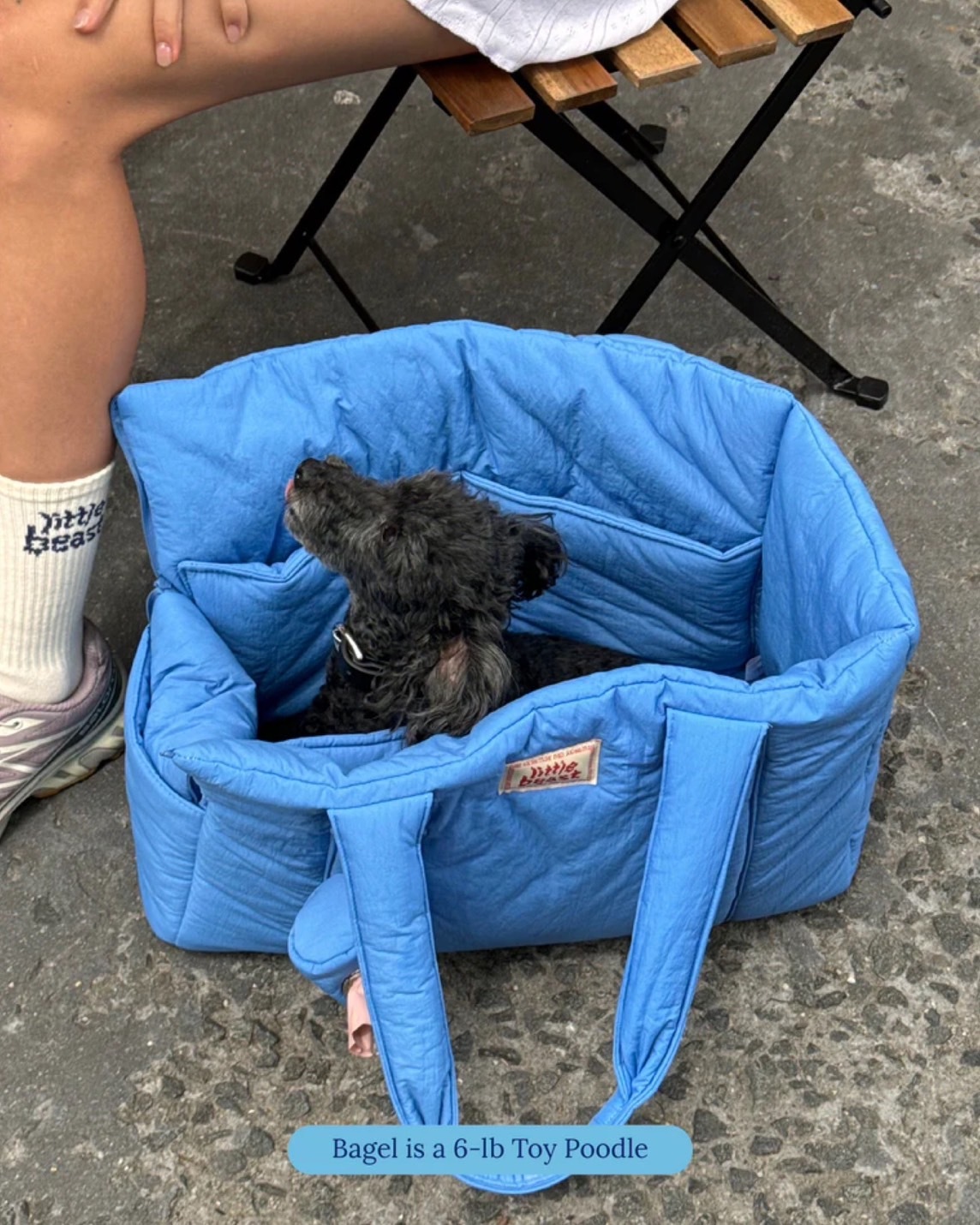 THE LITTLE BEAST CARRIER-BABY - BLUE