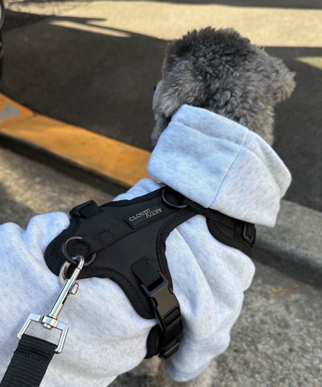 Y-3 GESCHIRR AKTIV SOFTSHELL - BLACK | CLOUD7 -おしゃれなドッグ