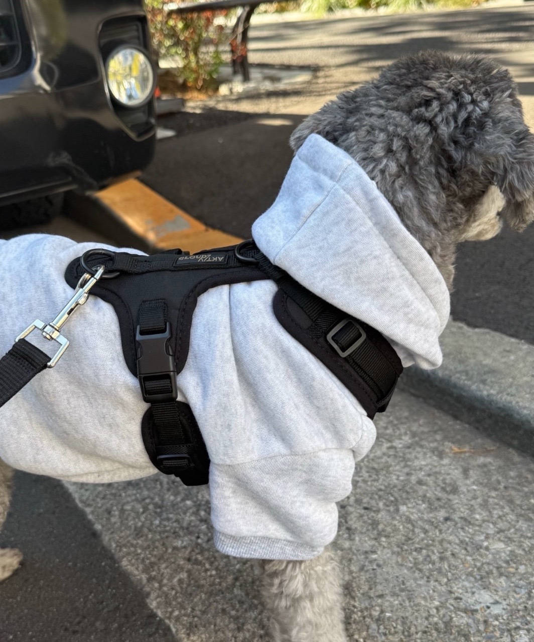 Y-3 GESCHIRR AKTIV SOFTSHELL - BLACK