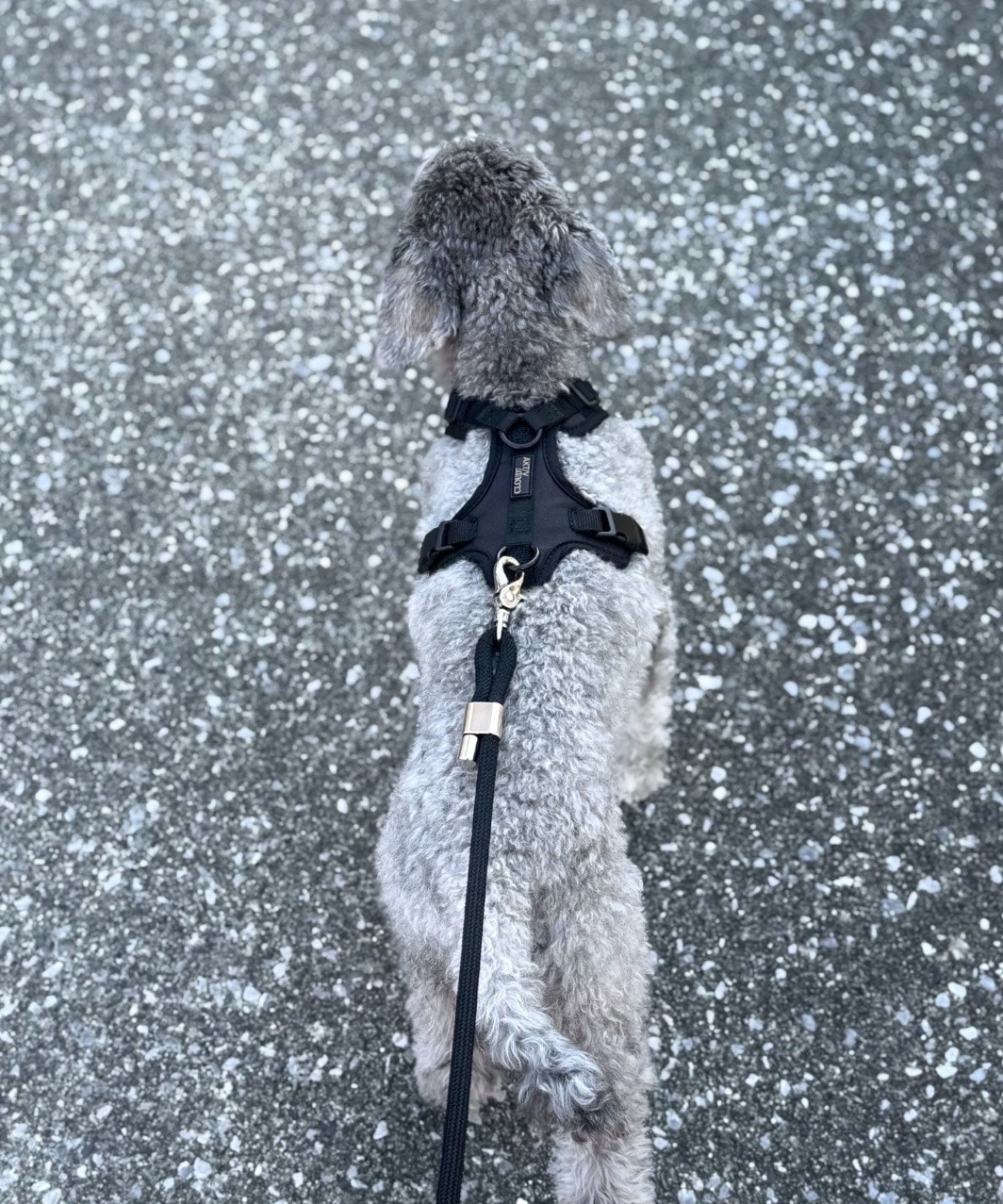 Y-3 GESCHIRR AKTIV SOFTSHELL - BLACK