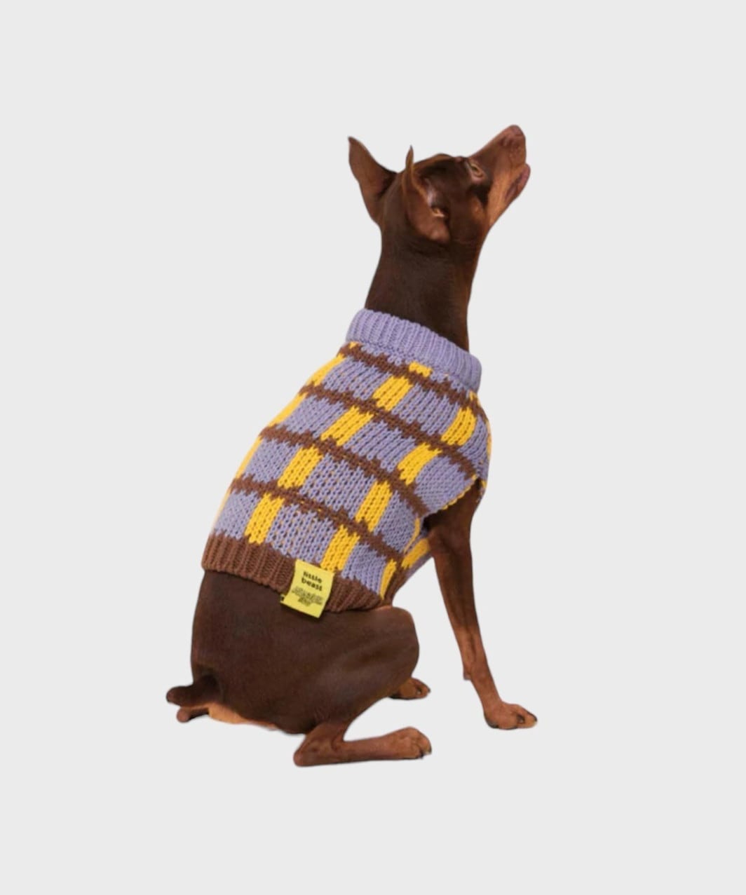 MEET THE PARENTS MEMORIAL DAY SWEATER-PURPLE | LITTLE BEAST