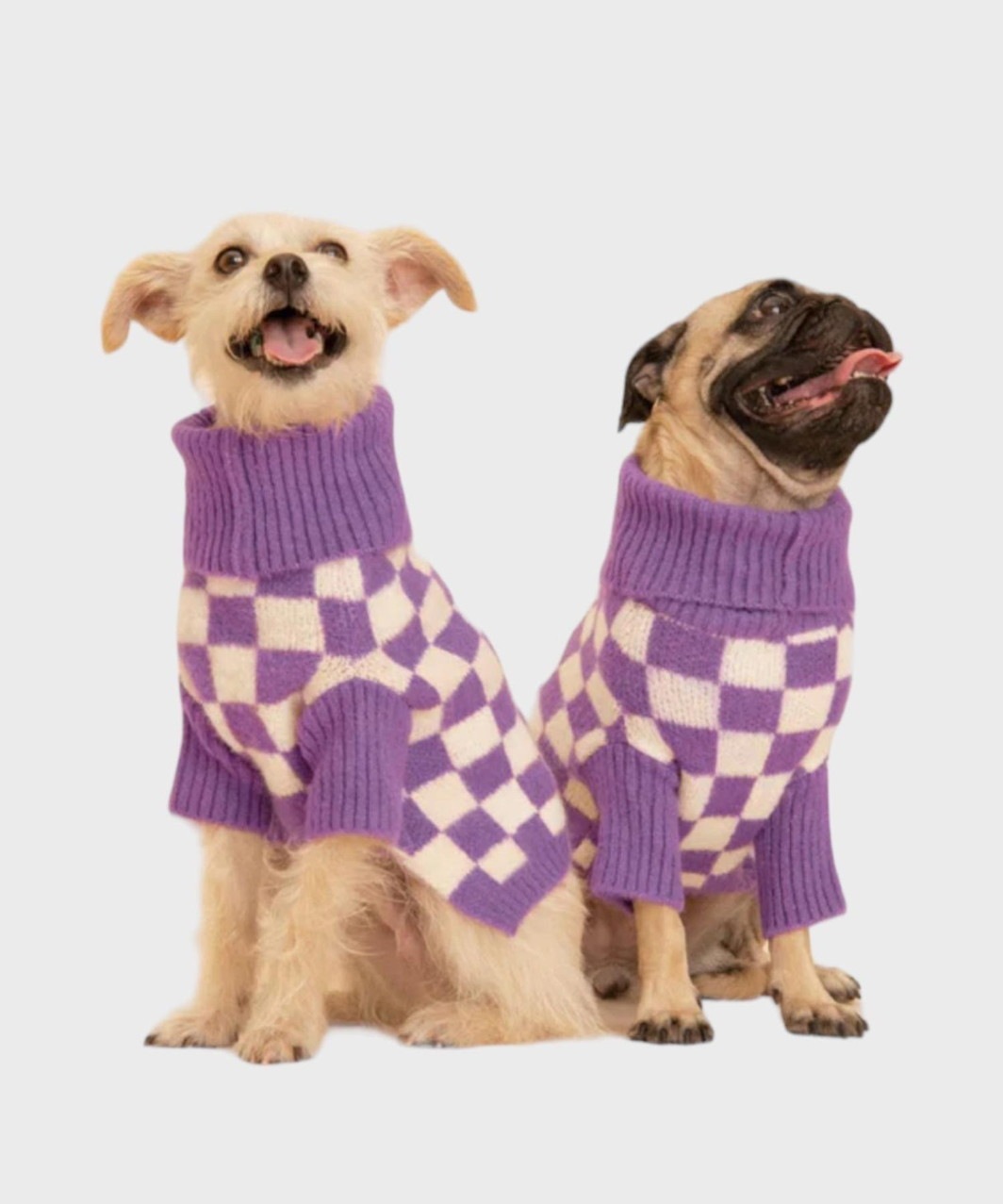 MEET THE PARENTS WRAY SWEATER - PURPLE