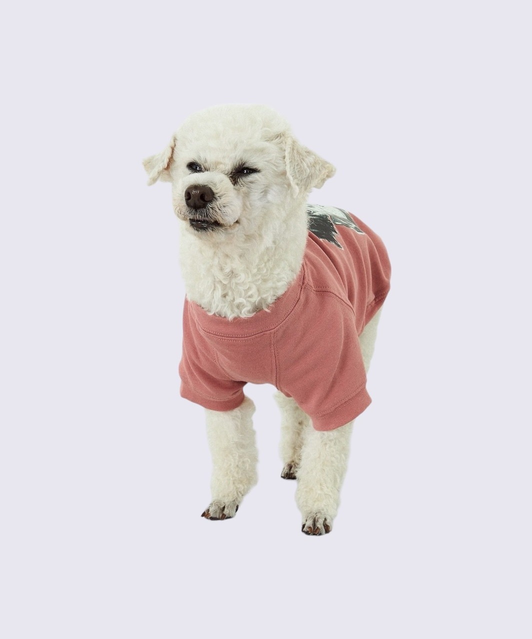 PEGION DOG T-SHIRT - PINK