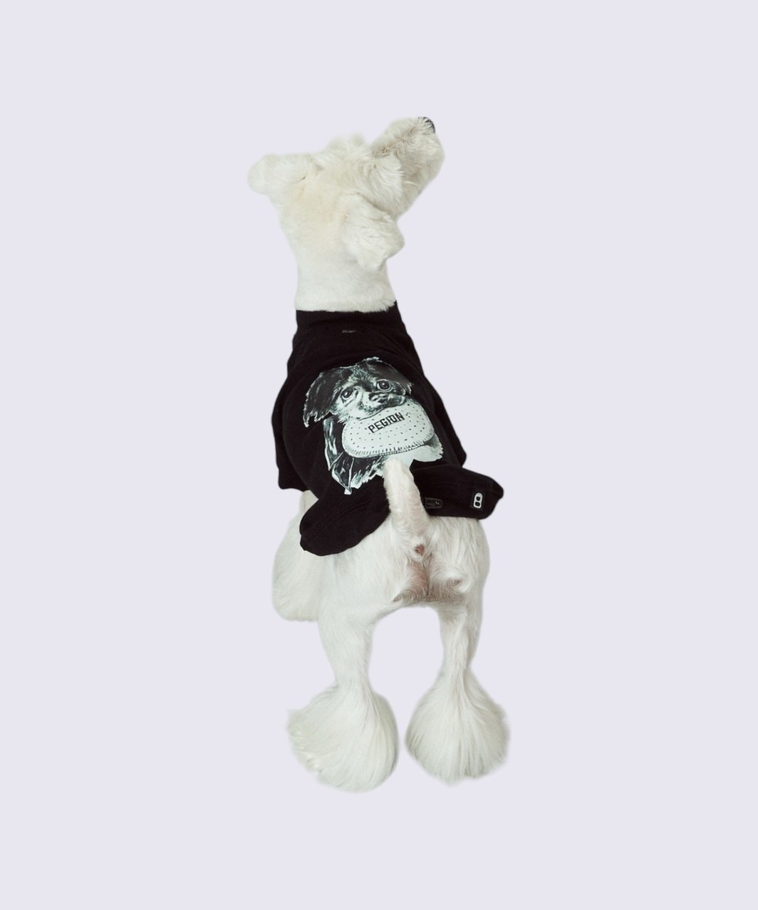 PEGION DOG T-SHIRT - PINK