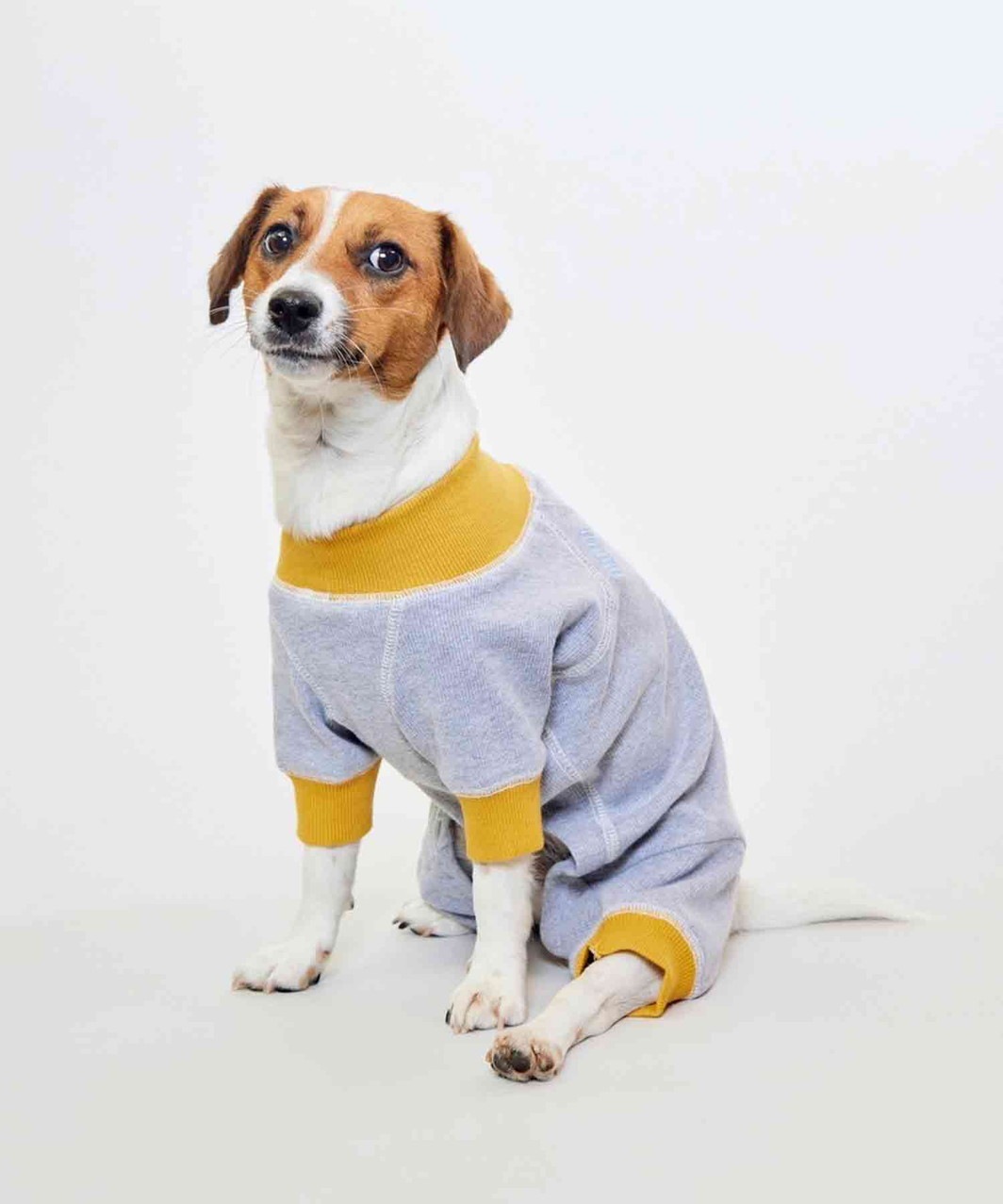 ACTIVE DOG ROMPERS - GREY/YELLOW
