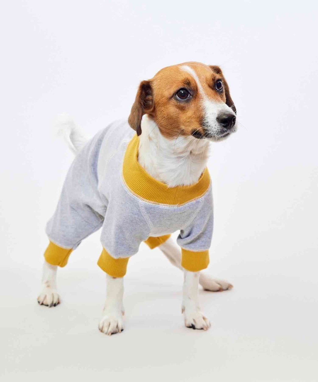 ACTIVE DOG ROMPERS - GREY/YELLOW
