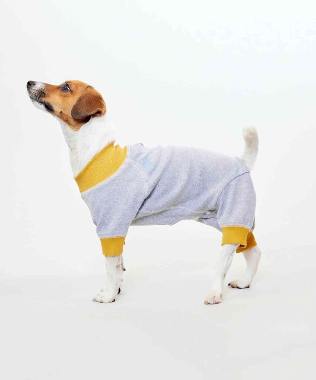 ACTIVE DOG ROMPERS - GREY/YELLOW