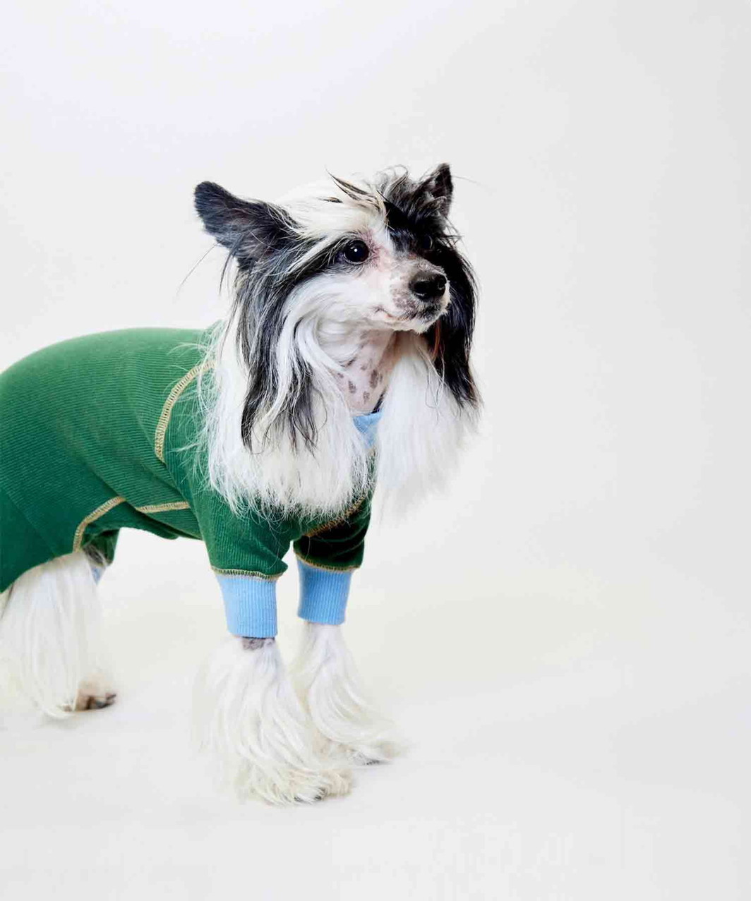 ACTIVE DOG ROMPERS - GREEN/SKYBLUE
